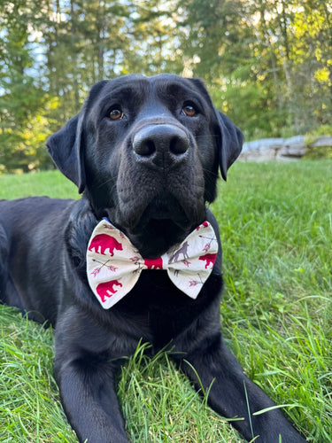 K&E Pups bow tie; bears & fox