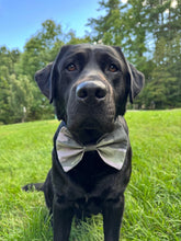 K&E Pups bow tie; camo