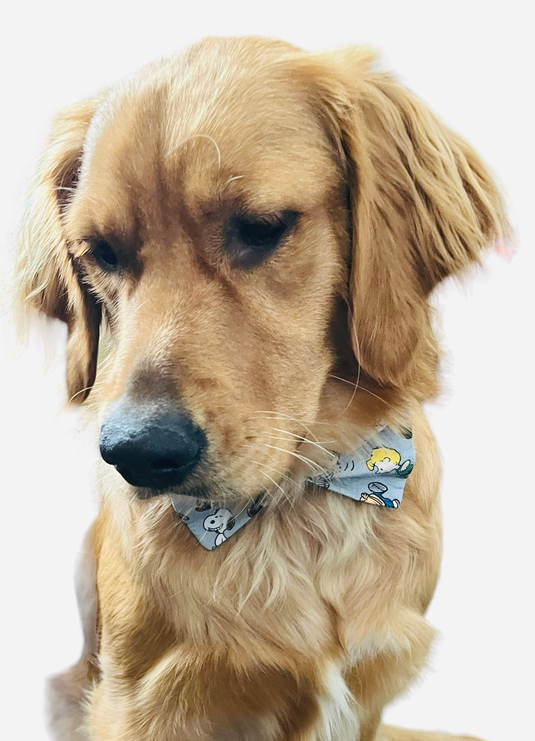 K&E Pups bow tie; snoop doggy dog