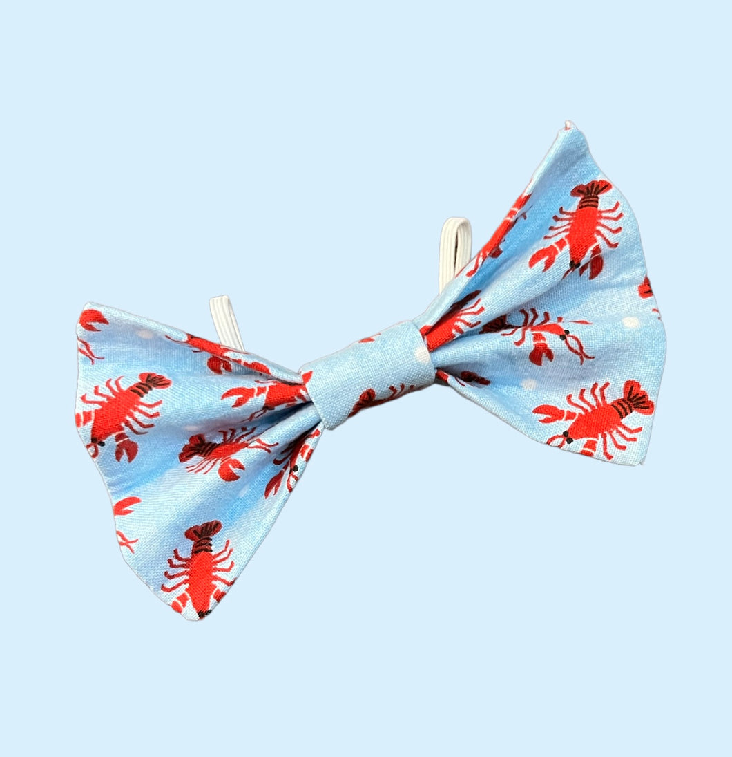 K&E Pups bow tie; you’re my lobster