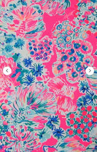 Lilly Pulitzer, Gypsea Book pocket pillow
